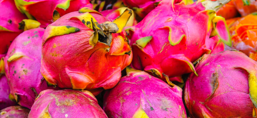 Pitaya (Dragon fruit)